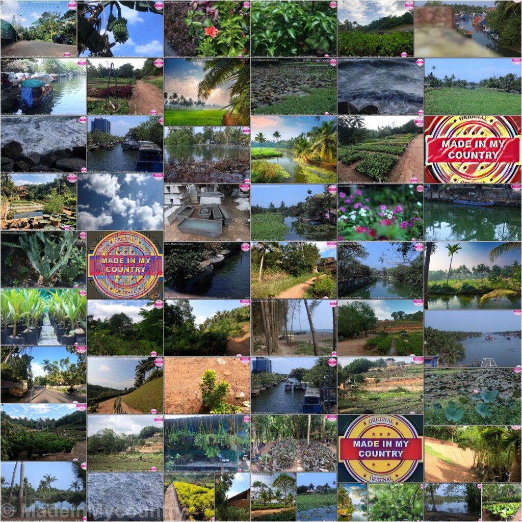 MadeinMycountry India! MadeinMycountry is a global platform that celebrates and supports local history, culture, art and nature conservation efforts.