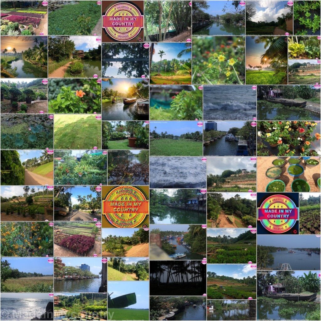 MadeinMycountry India! MadeinMycountry is a global platform that celebrates and supports local history, culture, art and nature conservation efforts.